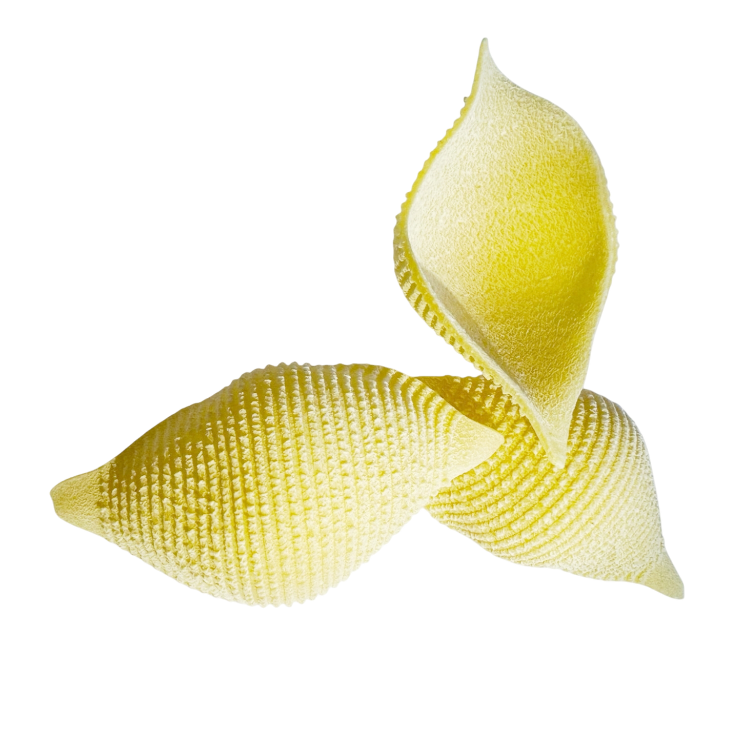 Conchiglioni 500g